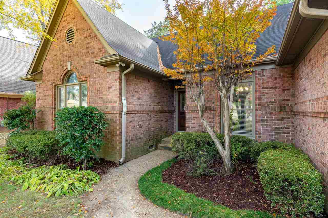 8779 Raspberry Lane Memphis, TN 38016 - Photo 3 of 25 a view of a brick house with a small yard plants and large tree