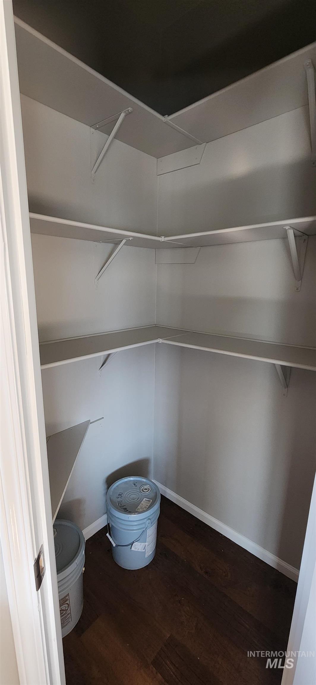 1817 South Exeter Road Council, ID 83612 - Photo 14 of 21 Walk in closet featuring dark wood-type flooring