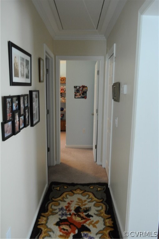 3415 Mill Quarter Road Ford, VA 23850 - Photo 11 of 24 Gallery Image 11