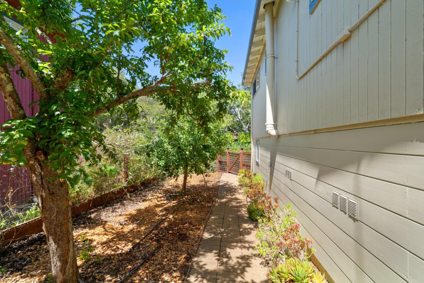 3407 Maplethorpe Lane Soquel, CA 95073 - Photo 5 of 52 a view of a yard with plants and wooden fence