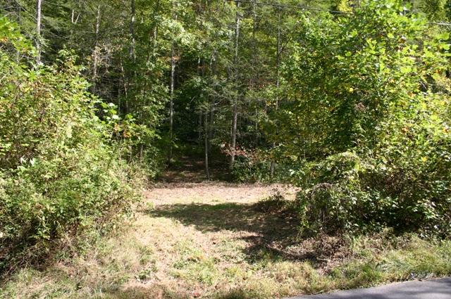 Lot 2 B Rocky Flats Road Cosby, TN 37722 - Photo 1 of 15 main 2B