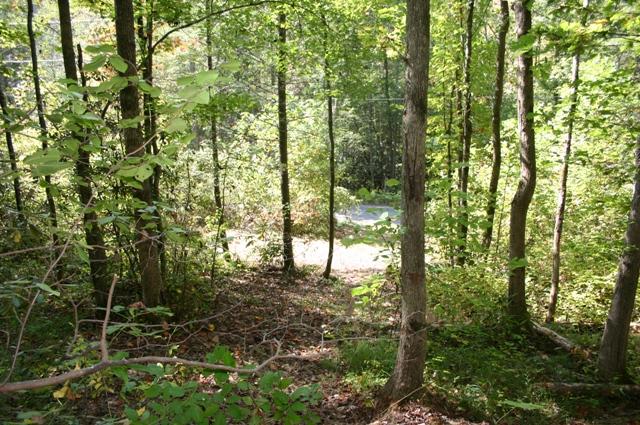 Lot 2 B Rocky Flats Road Cosby, TN 37722 - Photo 2 of 15 back to front lot 2B