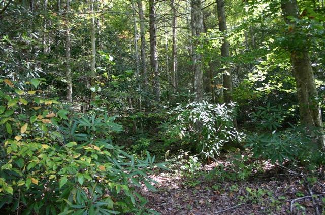 Lot 2 B Rocky Flats Road Cosby, TN 37722 - Photo 11 of 15 mid 2B