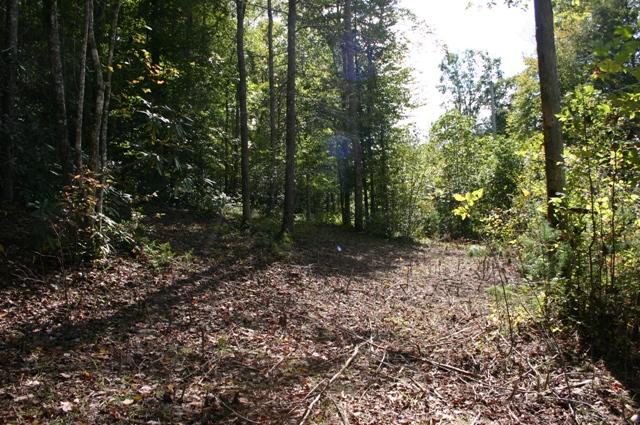 Lot 2 B Rocky Flats Road Cosby, TN 37722 - Photo 12 of 15 lot 2B