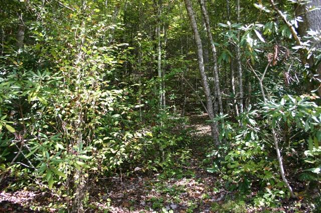 Lot 2 B Rocky Flats Road Cosby, TN 37722 - Photo 13 of 15 back of lot 2B