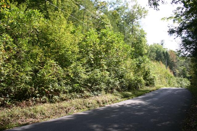 Lot 2 B Rocky Flats Road Cosby, TN 37722 - Photo 14 of 15 road frontage 2B