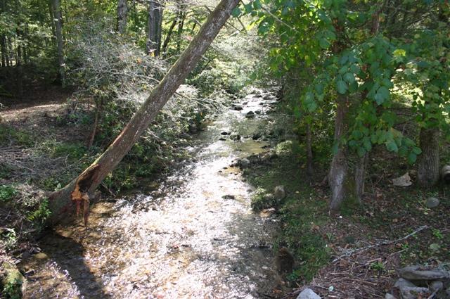 Lot 2 B Rocky Flats Road Cosby, TN 37722 - Photo 15 of 15 rushing crk across the street