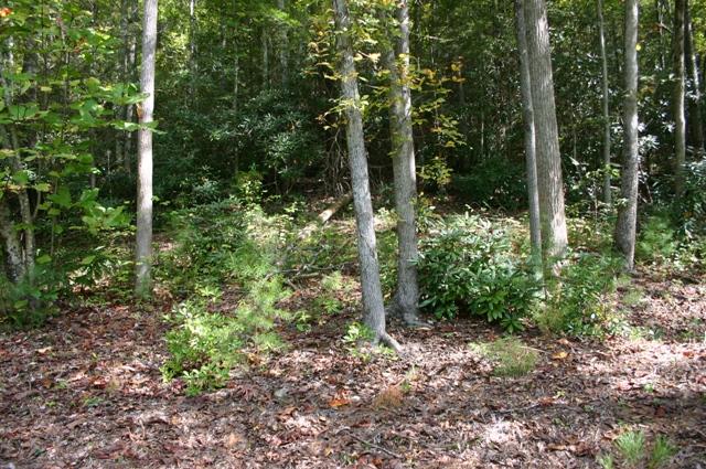 Lot 2 B Rocky Flats Road Cosby, TN 37722 - Photo 3 of 15 building area 2B
