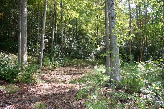 Lot 2 B Rocky Flats Road Cosby, TN 37722 - Photo 4 of 15 deep 2B