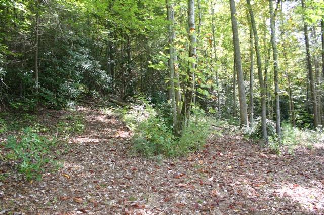 Lot 2 B Rocky Flats Road Cosby, TN 37722 - Photo 6 of 15 2B more