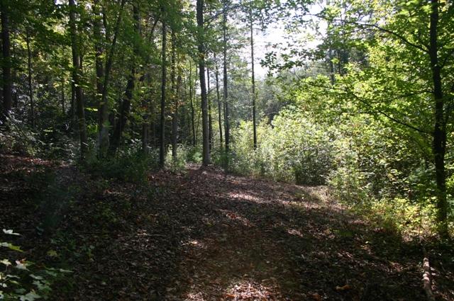 Lot 2 B Rocky Flats Road Cosby, TN 37722 - Photo 7 of 15 main area 2B