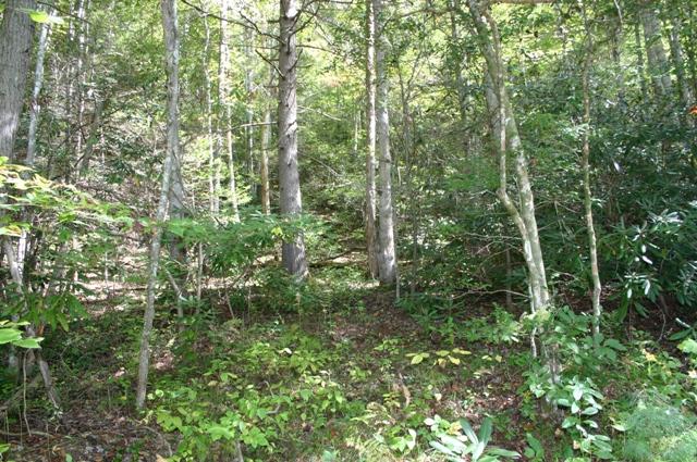 Lot 2 B Rocky Flats Road Cosby, TN 37722 - Photo 8 of 15 more mid 2B