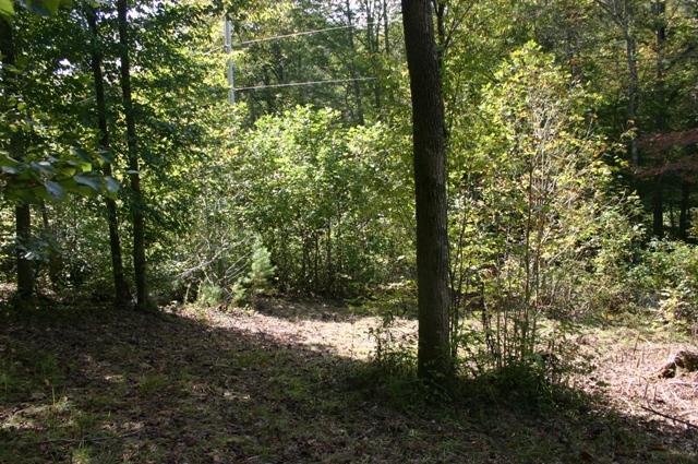 Lot 2 B Rocky Flats Road Cosby, TN 37722 - Photo 9 of 15 2B