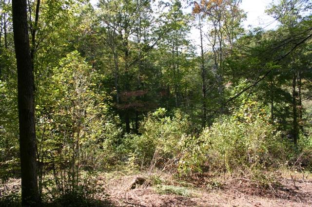Lot 2 B Rocky Flats Road Cosby, TN 37722 - Photo 10 of 15 view from 2B