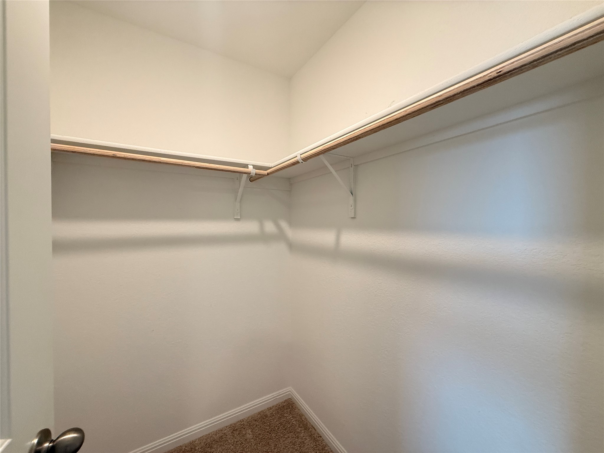 120 Calla Lane Georgetown, TX 78626 - Photo 13 of 19 Walk in closet with dark colored carpet