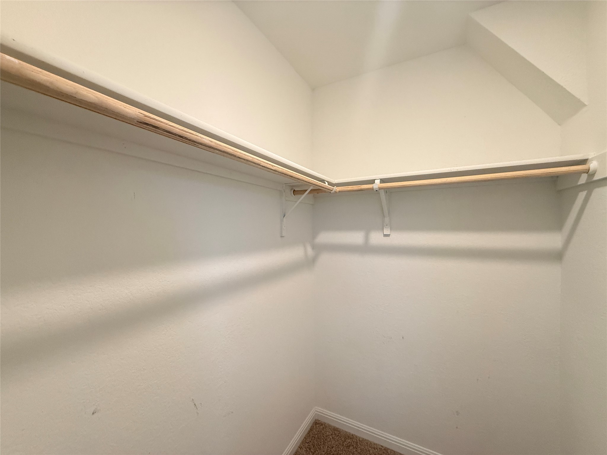 120 Calla Lane Georgetown, TX 78626 - Photo 17 of 19 Walk in closet featuring carpet