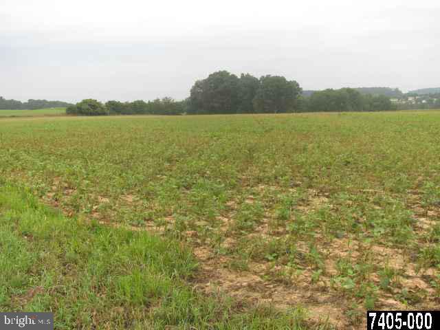 137 Leppo Mill Road Hanover, PA 17331 - Photo 8 of 10