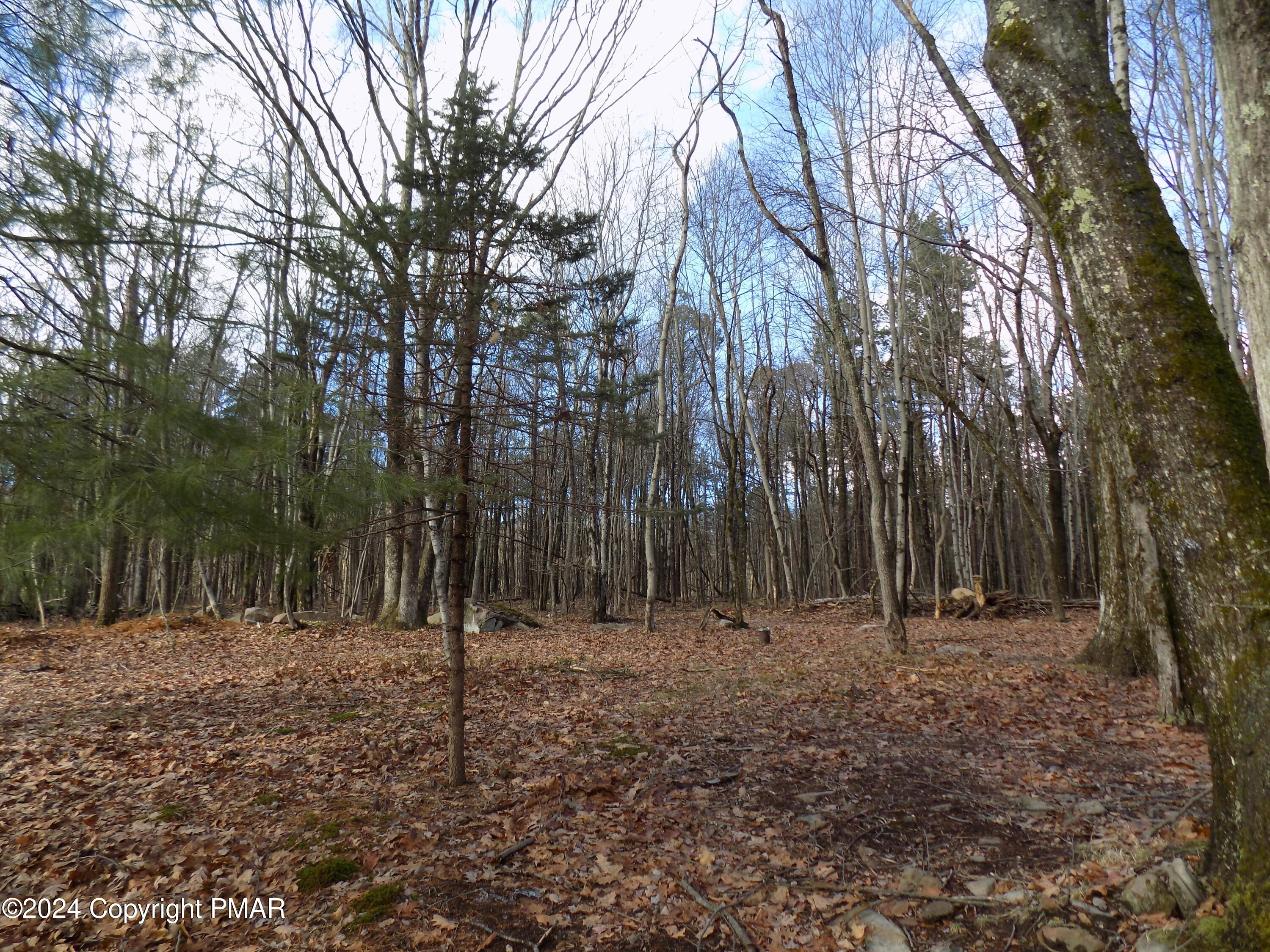 373 Tower Road Albrightsville, PA 18210 - Photo 8 of 23 DSCN1029