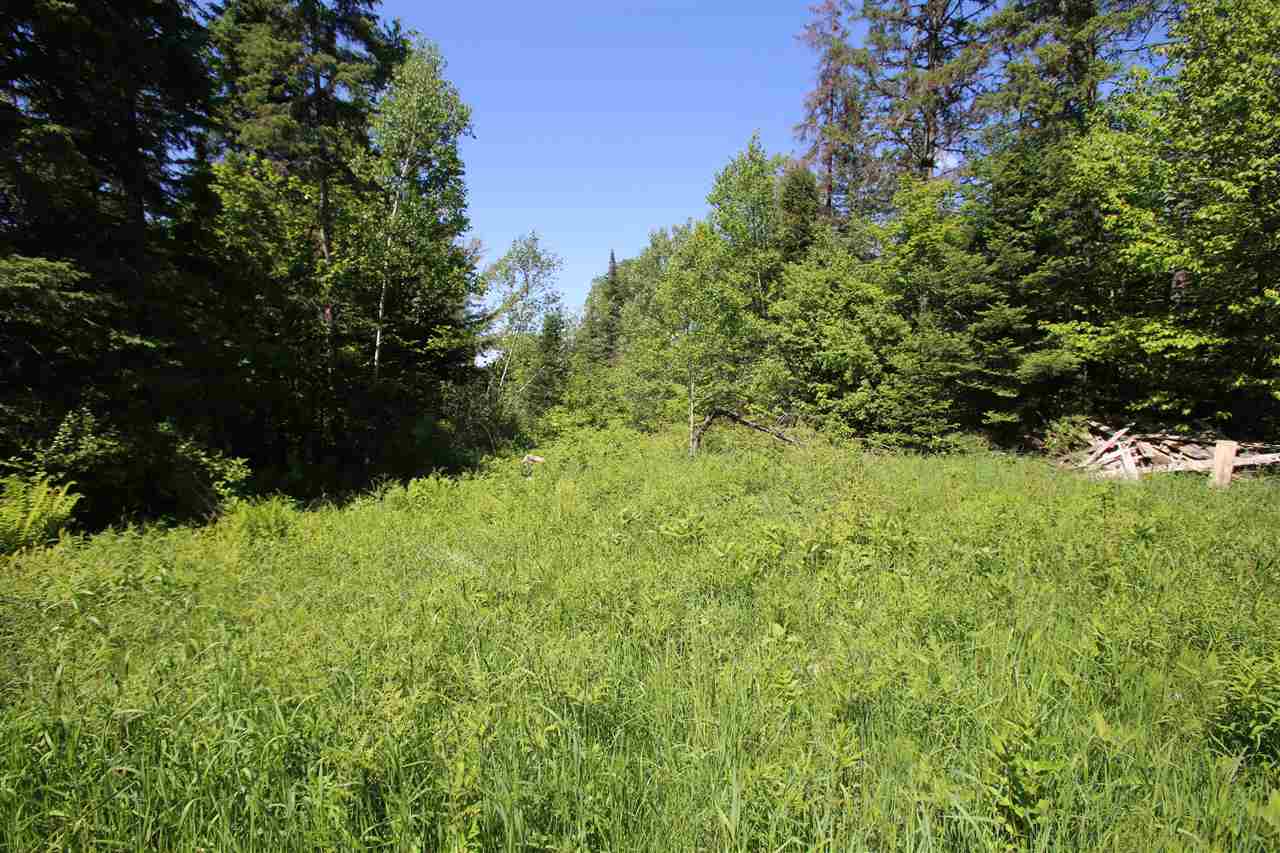 580 Young Farm Road Peacham, VT 05046 - Photo 2 of 17