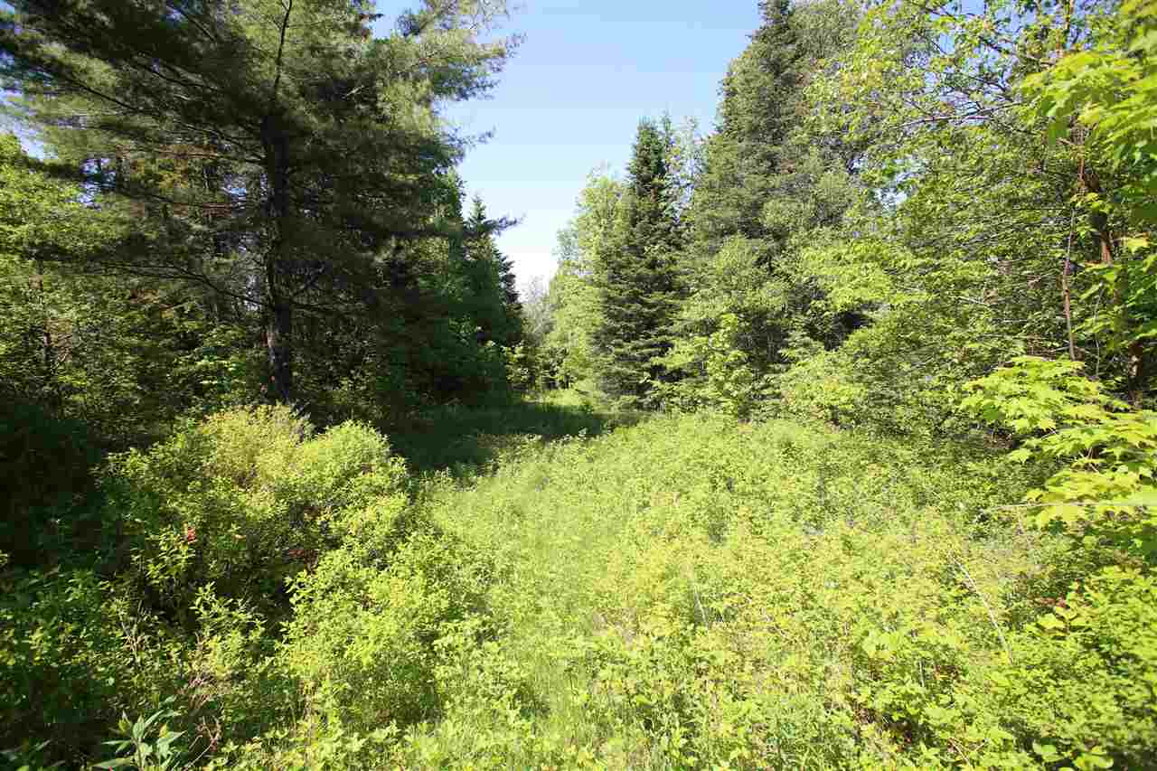 580 Young Farm Road Peacham, VT 05046 - Photo 4 of 17