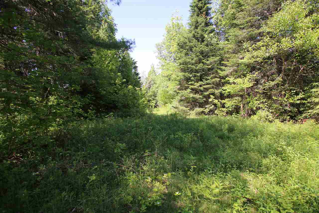 580 Young Farm Road Peacham, VT 05046 - Photo 5 of 17