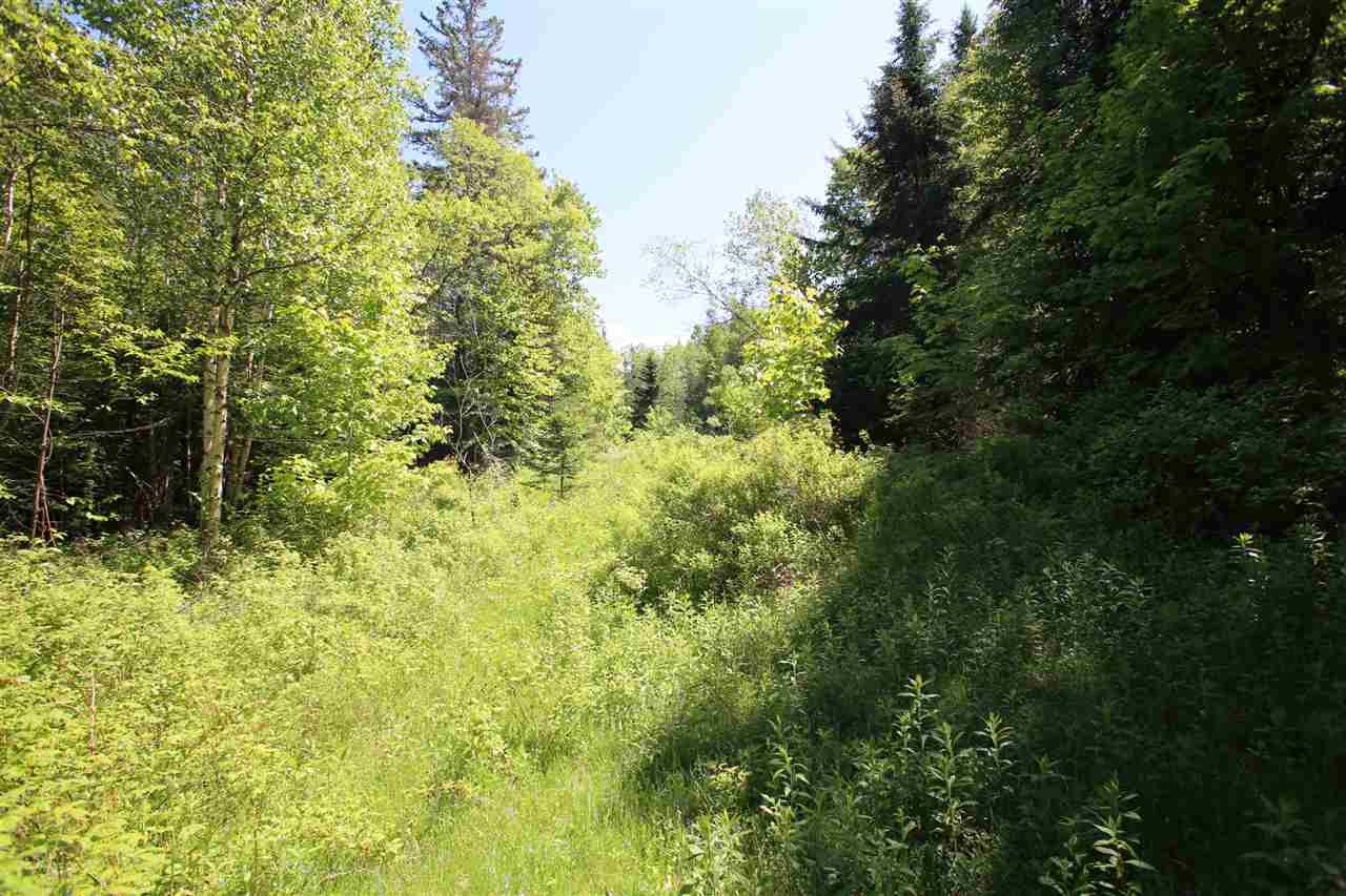 580 Young Farm Road Peacham, VT 05046 - Photo 6 of 17