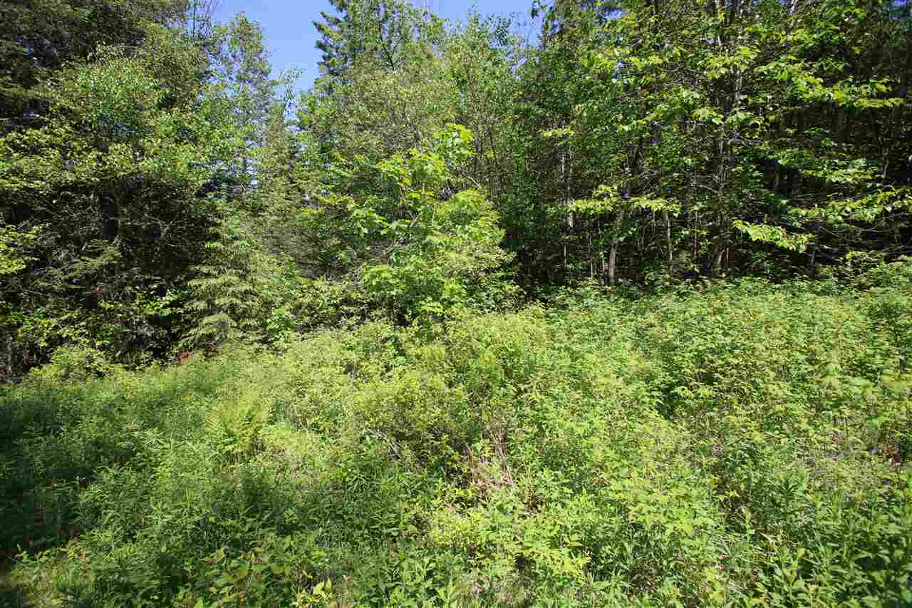 580 Young Farm Road Peacham, VT 05046 - Photo 7 of 17
