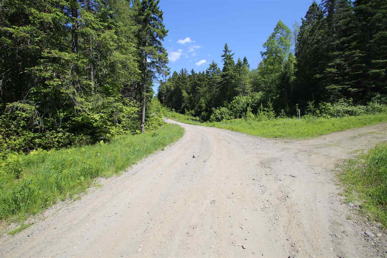 580 Young Farm Road Peacham, VT 05046 - Photo 8 of 17