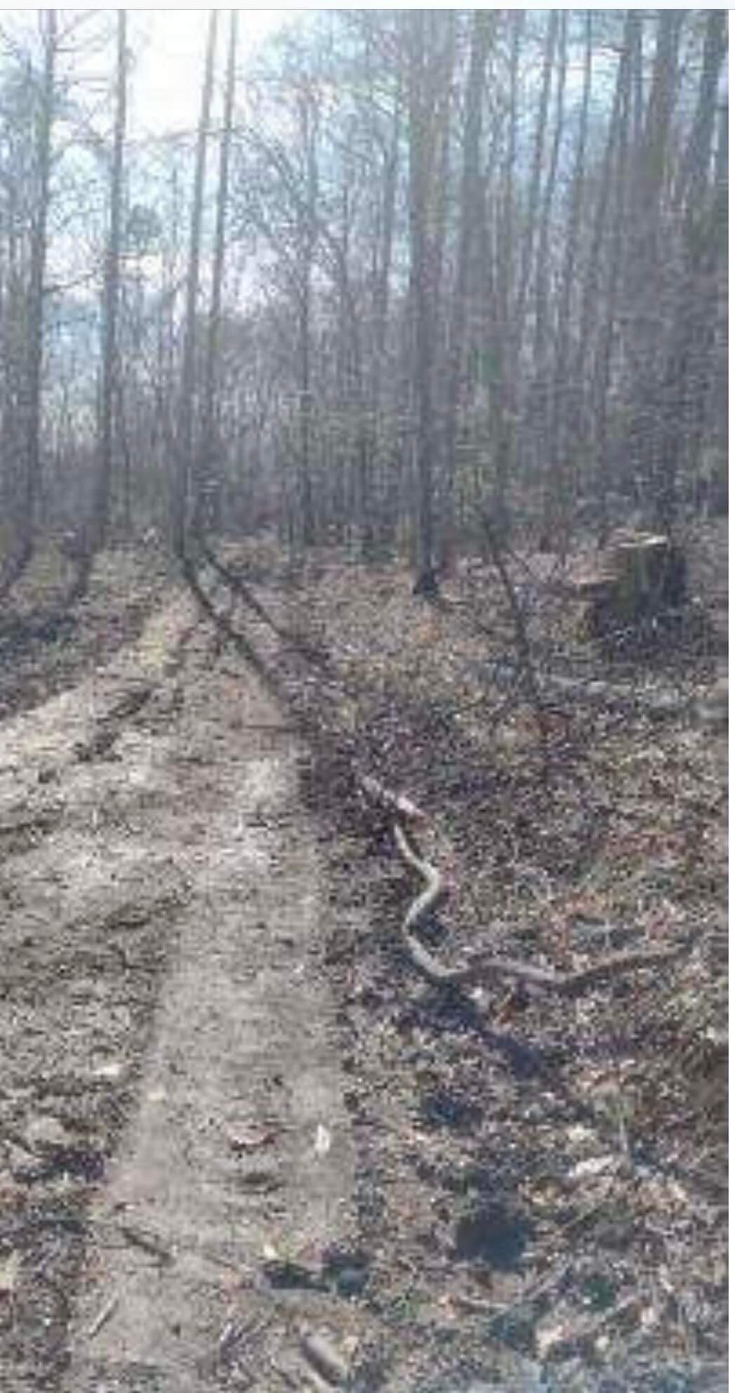 4 Pine Grove Road Beattyville, KY 41311 - Photo 14 of 21 A869B537-1440-41B2-B91E-31CB68D06E53