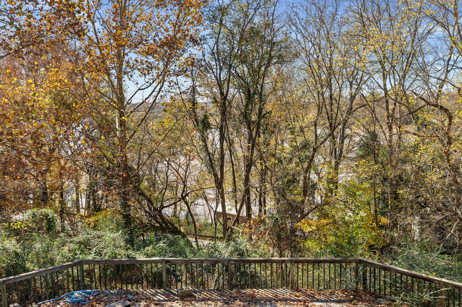 133 East Robertson Road Castalian Springs, TN 37031 - Photo 27 of 28 Wooded view from back porch.