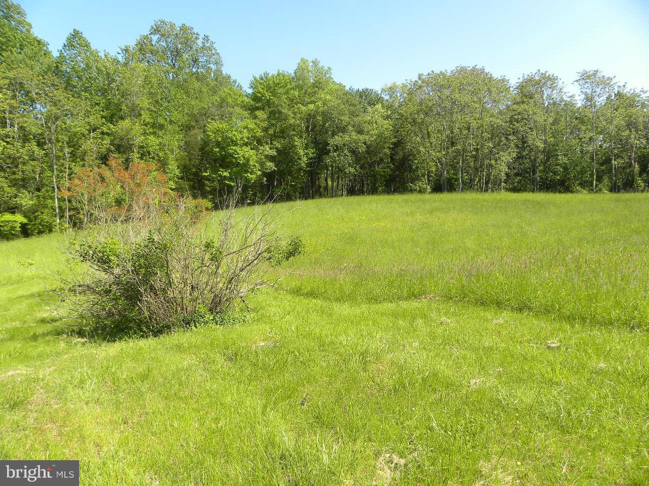 540 Round Hill Road Boston, VA 22713 - Photo 14 of 15 Open Land...