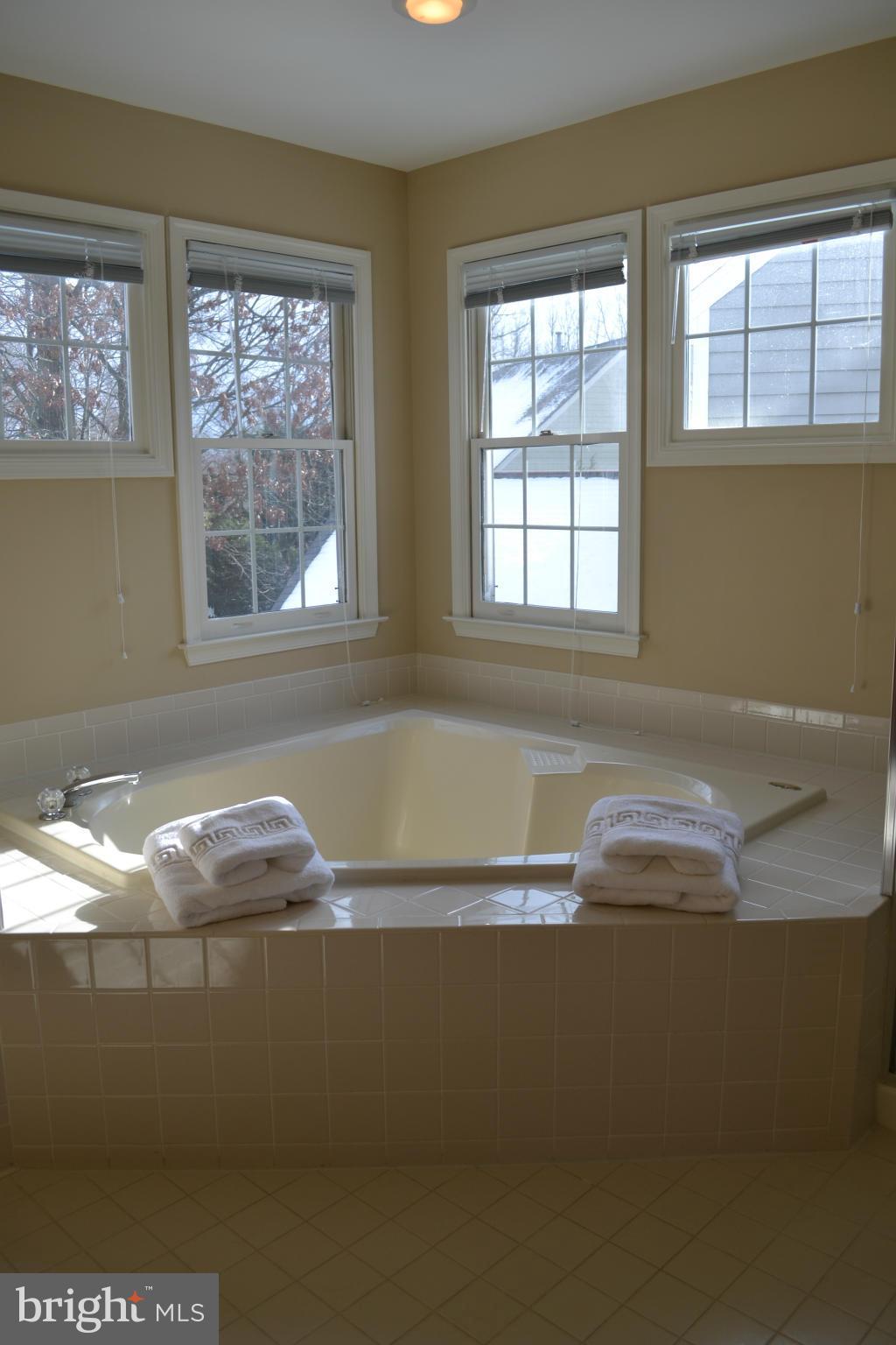1117 Northwind Drive Reston, VA 20194 - Photo 18 of 28 Bath (Master)