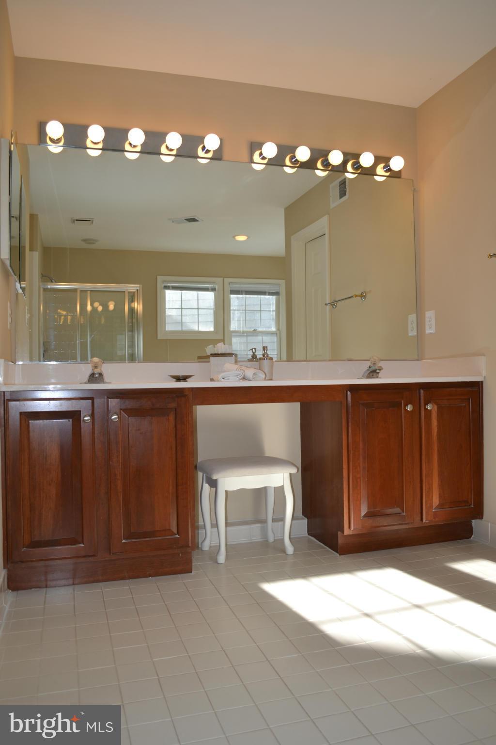 1117 Northwind Drive Reston, VA 20194 - Photo 19 of 28 Bath (Master)