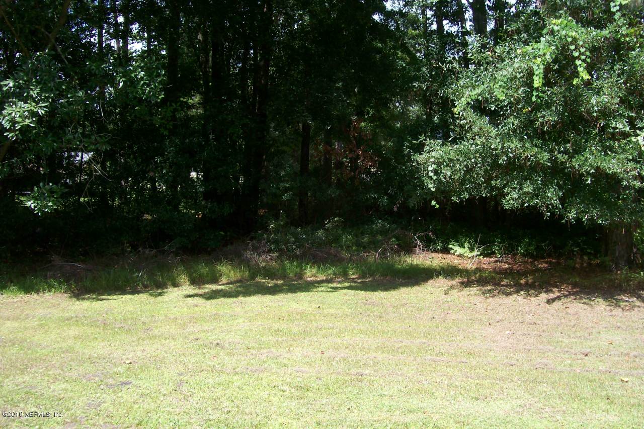 10259 Crystal Springs Road Jacksonville, FL 32221 - Photo 13 of 14 Backyard 2