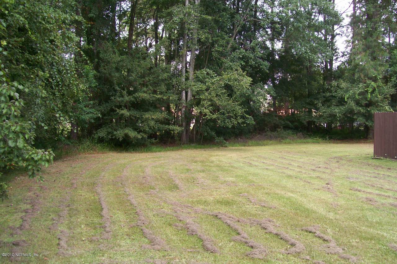 10259 Crystal Springs Road Jacksonville, FL 32221 - Photo 7 of 14 Backyard
