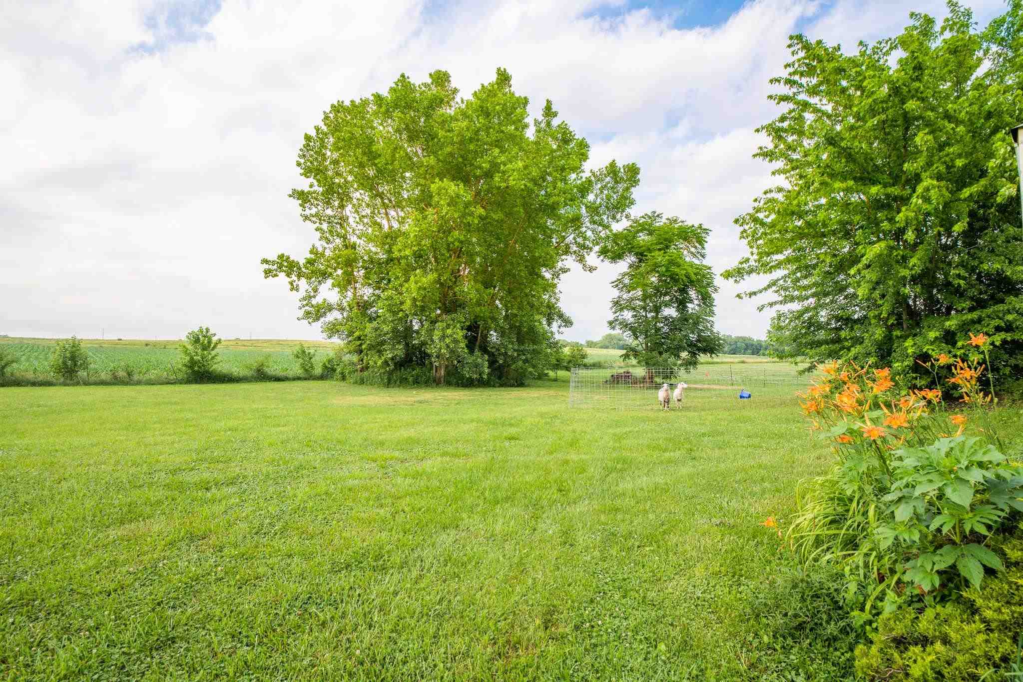 14158 King Road Mackinaw, IL 61755 - Photo 41 of 45 Gallery Image 41