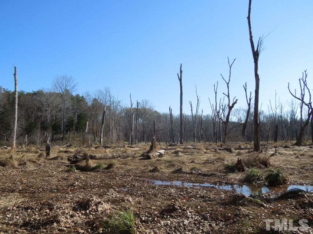 Dotmond Road Milton, NC 27305 - Photo 22 of 22 Gallery Image 22