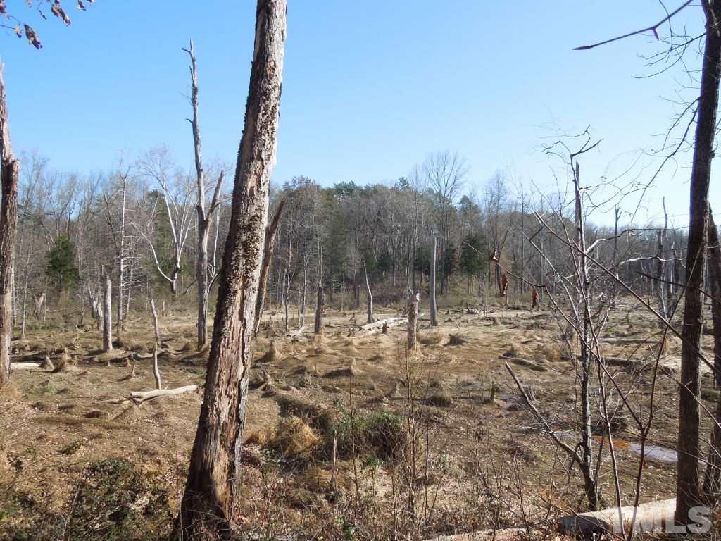 Dotmond Road Milton, NC 27305 - Photo 4 of 22 Gallery Image 4