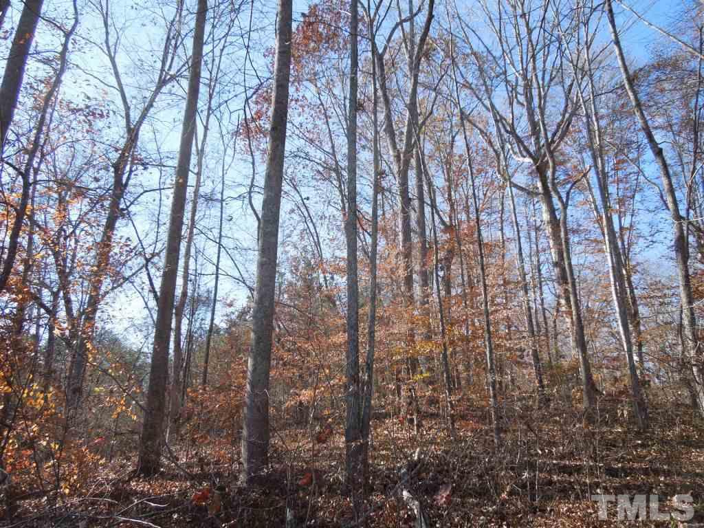 Dotmond Road Milton, NC 27305 - Photo 5 of 22 Gallery Image 5