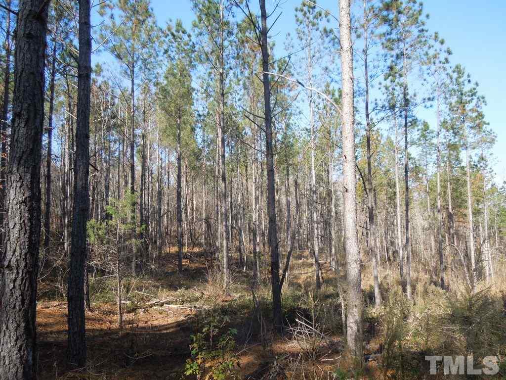 Dotmond Road Milton, NC 27305 - Photo 10 of 22 Gallery Image 10