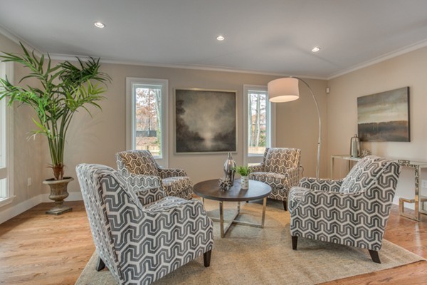 265 Woodland Road Brookline, MA 02467 - Photo 12 of 30 a living room with furniture and a potted plant