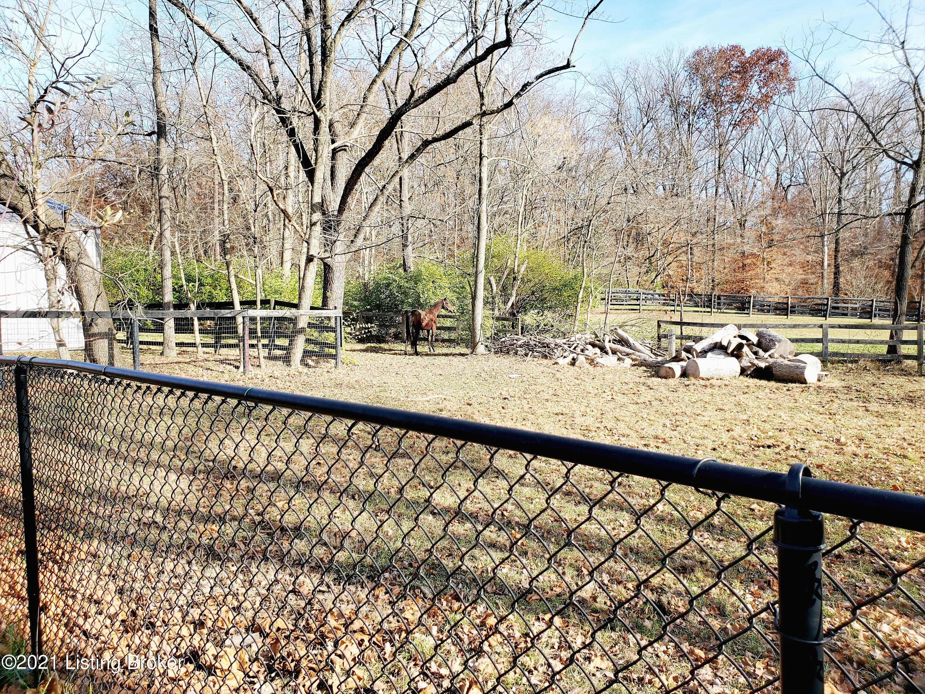7101 Manslick Road Louisville, KY 40214 - Photo 33 of 37 11 EXTENDED PROPERTY BOUNDARIES