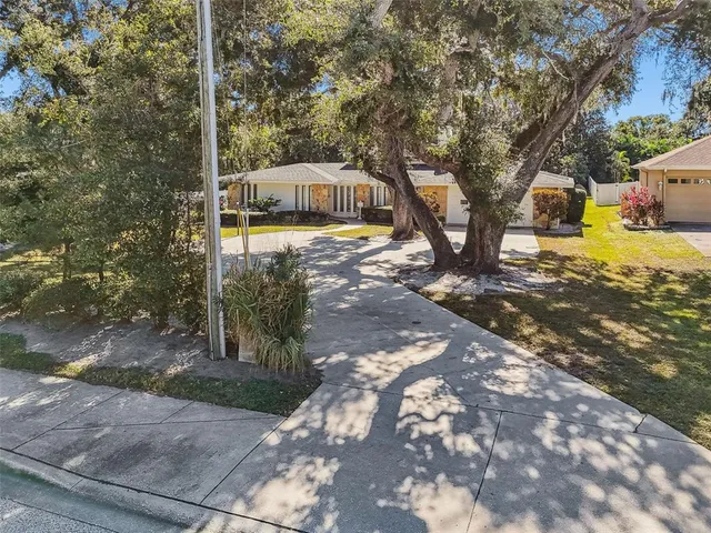 a view of a yard with plants and trees