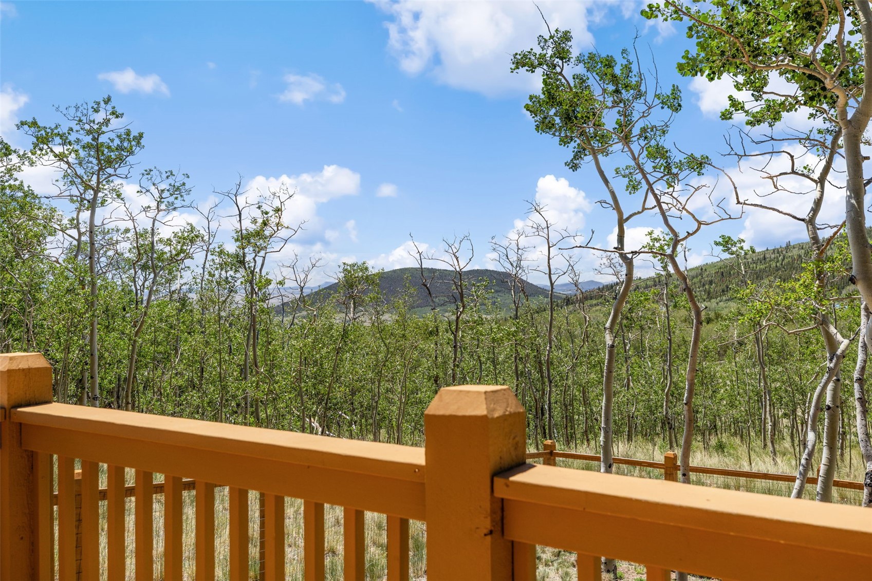 108 Sheep Ridge Road Fairplay, CO 80440 - Photo 29 of 39