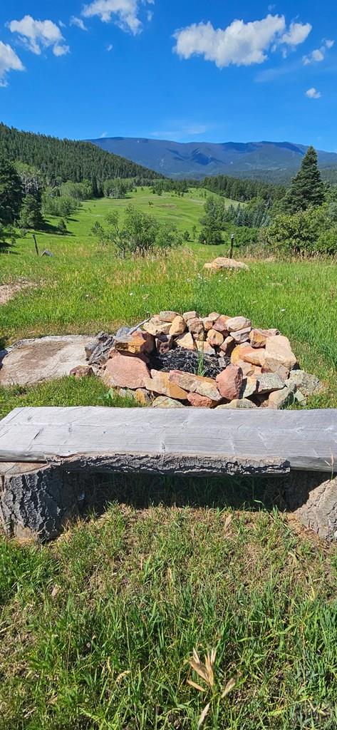 8755 Deiffendeffer Rye, CO 81069 - Photo 31 of 35