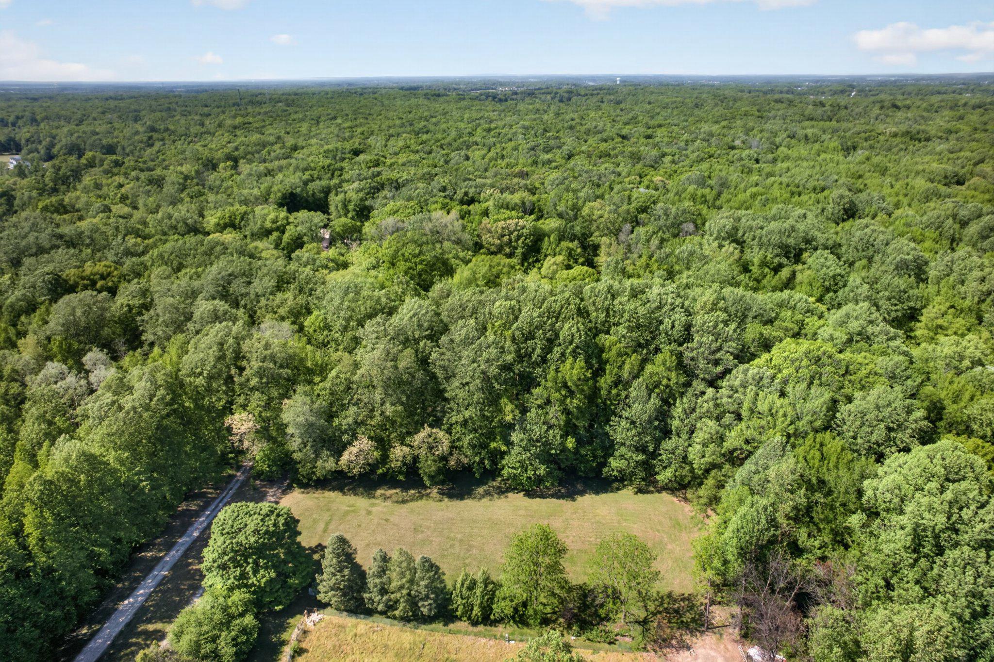 403 Union Church Road Townsend, DE 19734 - Photo 66 of 73 Expansive green landscape awaits.