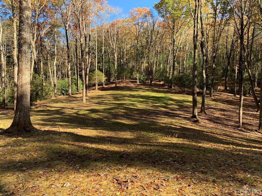 Fe-4 Triple Farm Road Cullowhee, NC 28723 - Photo 2 of 34 Gallery Image 2