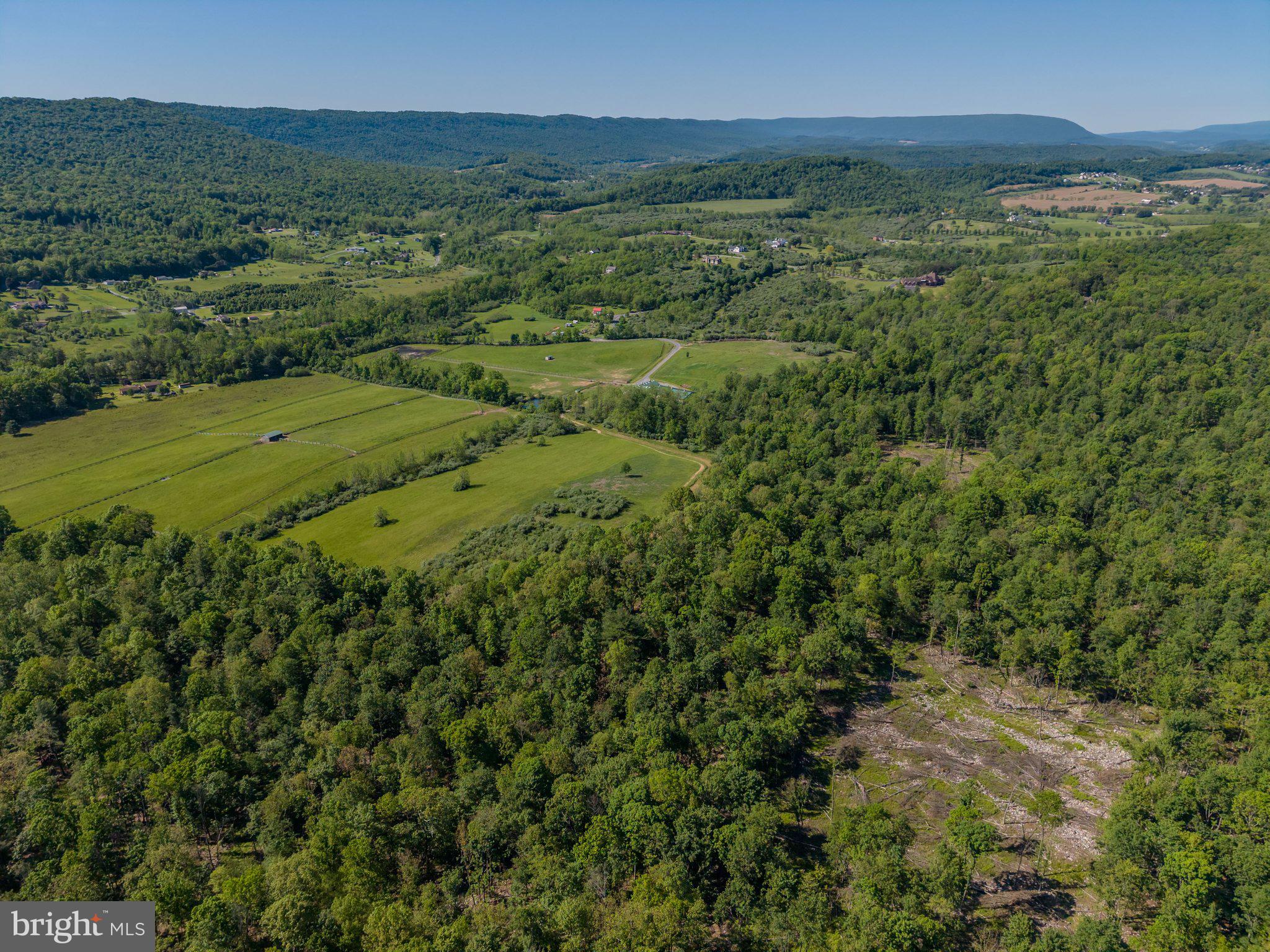 4503 Scotch Valley Road Hollidaysburg, PA 16648 - Photo 14 of 85