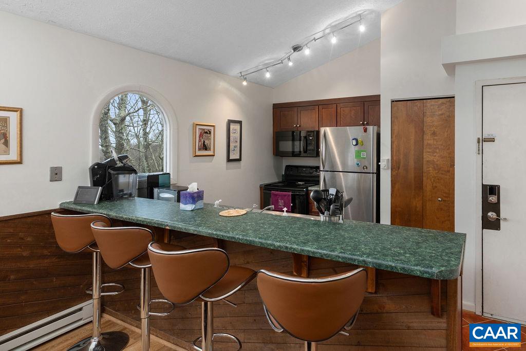 2224 Tanners Ridge, Unit 2224 Wintergreen, VA 22967 - Photo 3 of 18