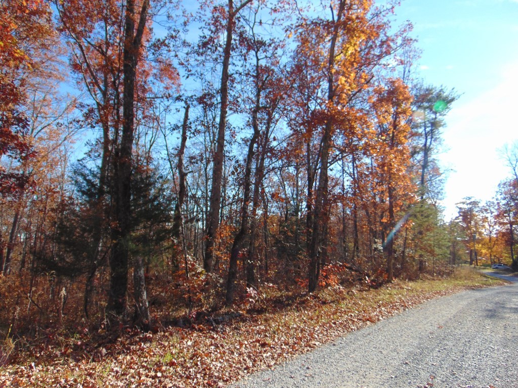 0 Raccoon Ridge Road Spring City, TN 37381 - Photo 46 of 70